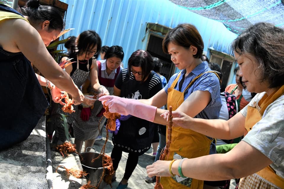 「三漁興旺」已培力出50位薯榔海水染的種子教師