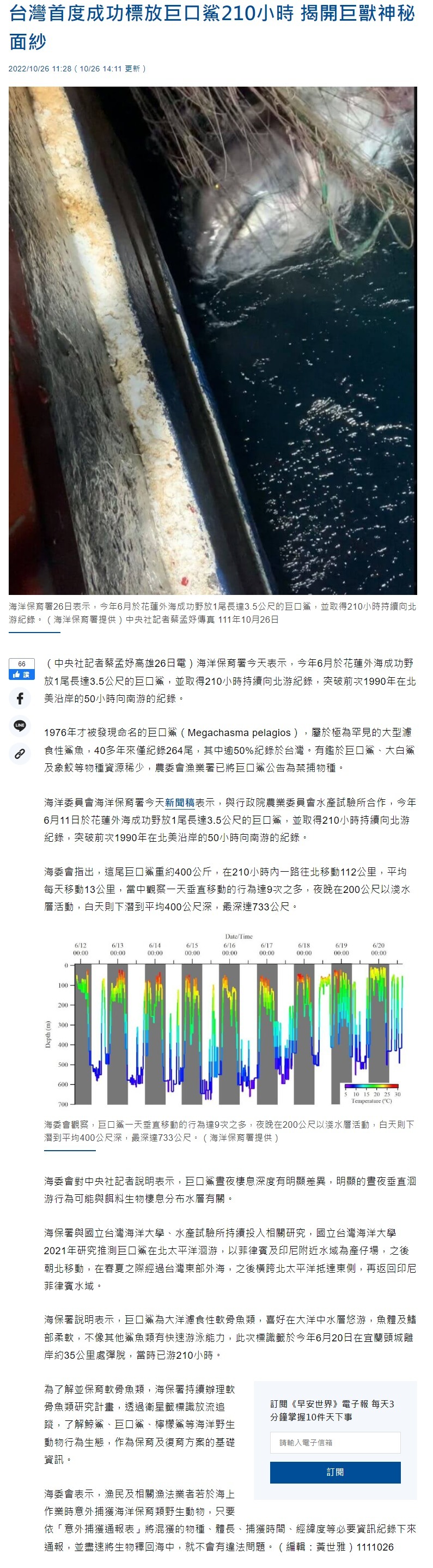 成功野放「海洋巨獸」巨口鯊 將揭開神秘面紗