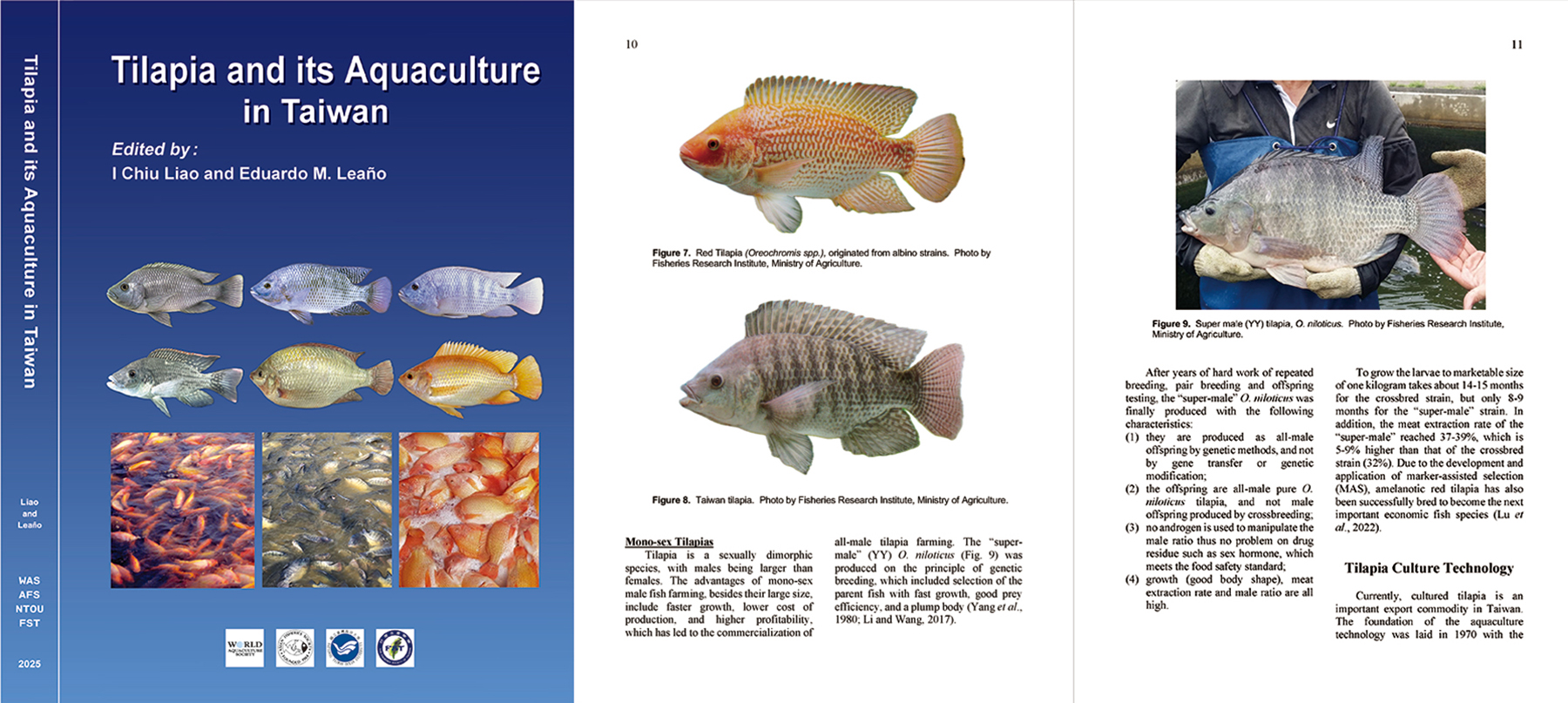 《Tilapia and Its Aquaculture in Taiwan》全面剖析台灣吳郭魚養殖技術的現況與未來趨勢
