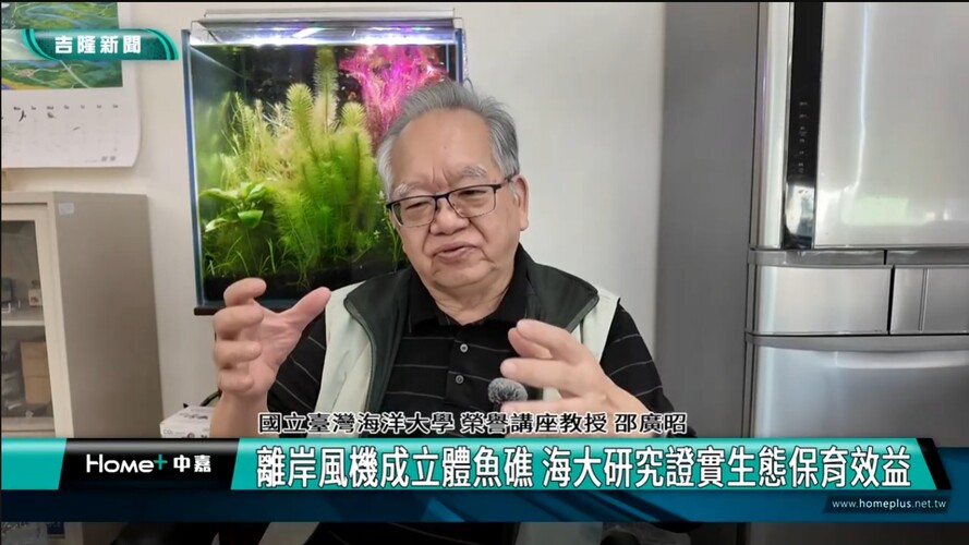 基隆|離岸風機成立體魚礁 海大研究證實生態保育效益|離岸風機|立體魚礁|海洋生態|生物多樣性